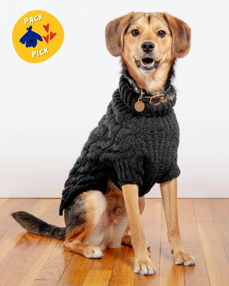 Downtown Roll Neck Dog Sweater in Black