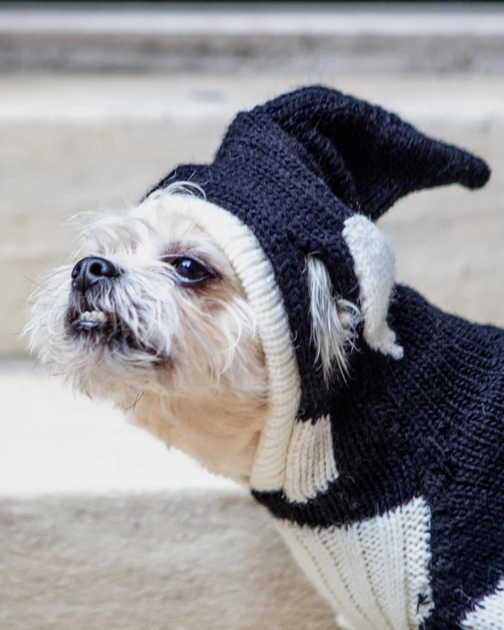 Orca Whale Handknit Dog Sweater w/ Hood (FINAL SALE)