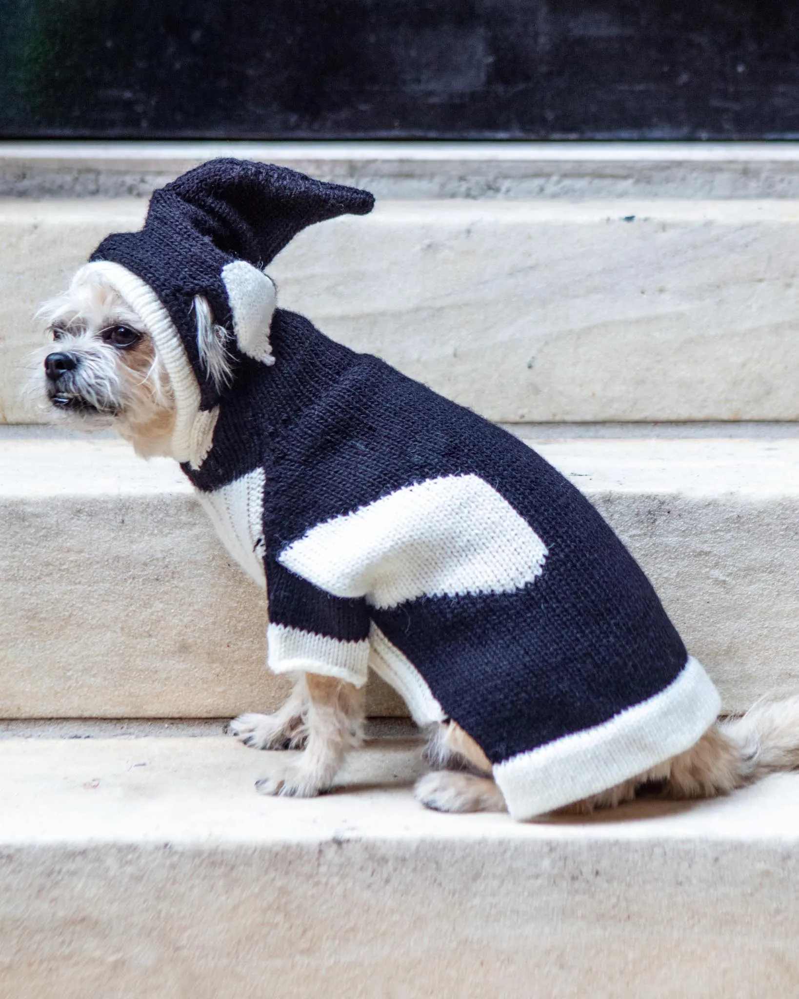 Orca Whale Handknit Dog Sweater w/ Hood (FINAL SALE)