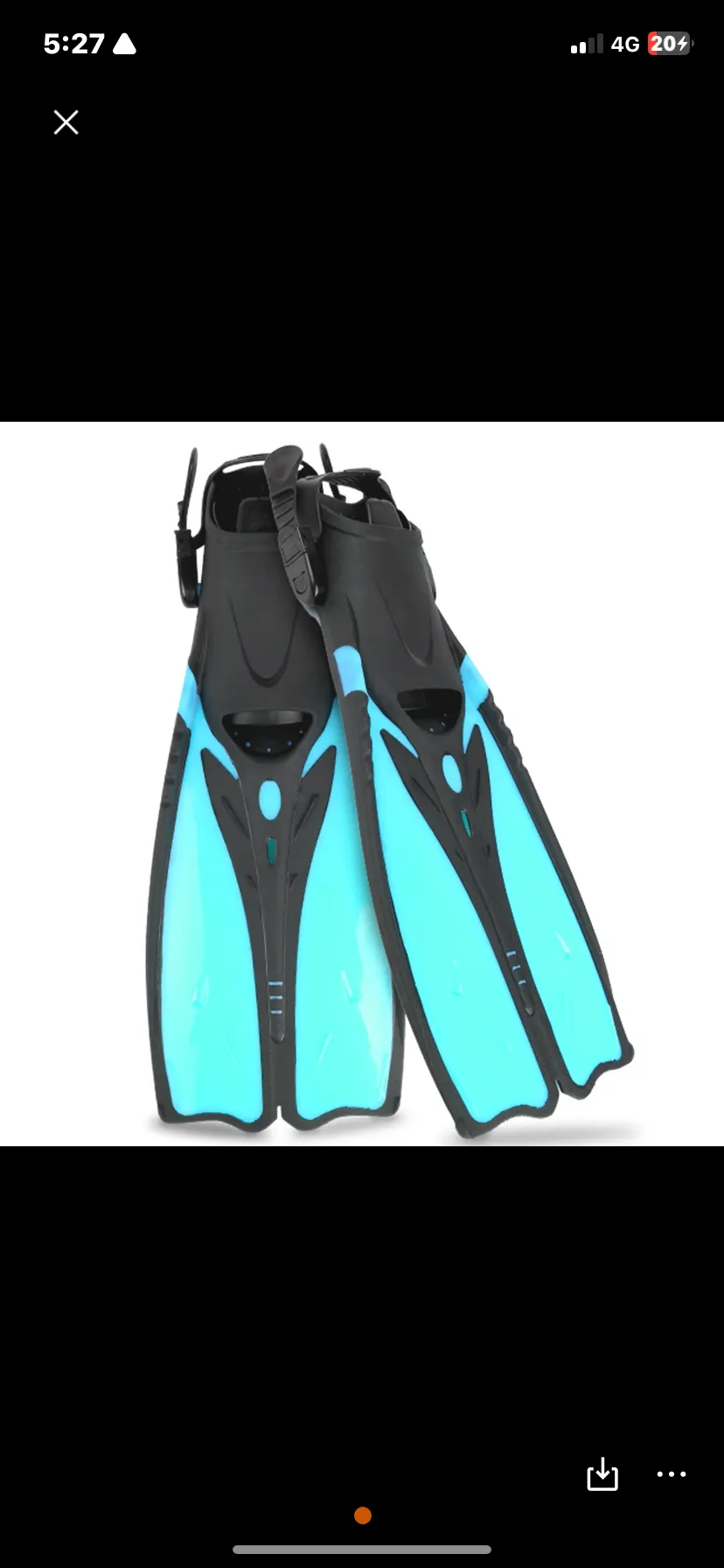 Serenity solutions enterprises diving flipper’s