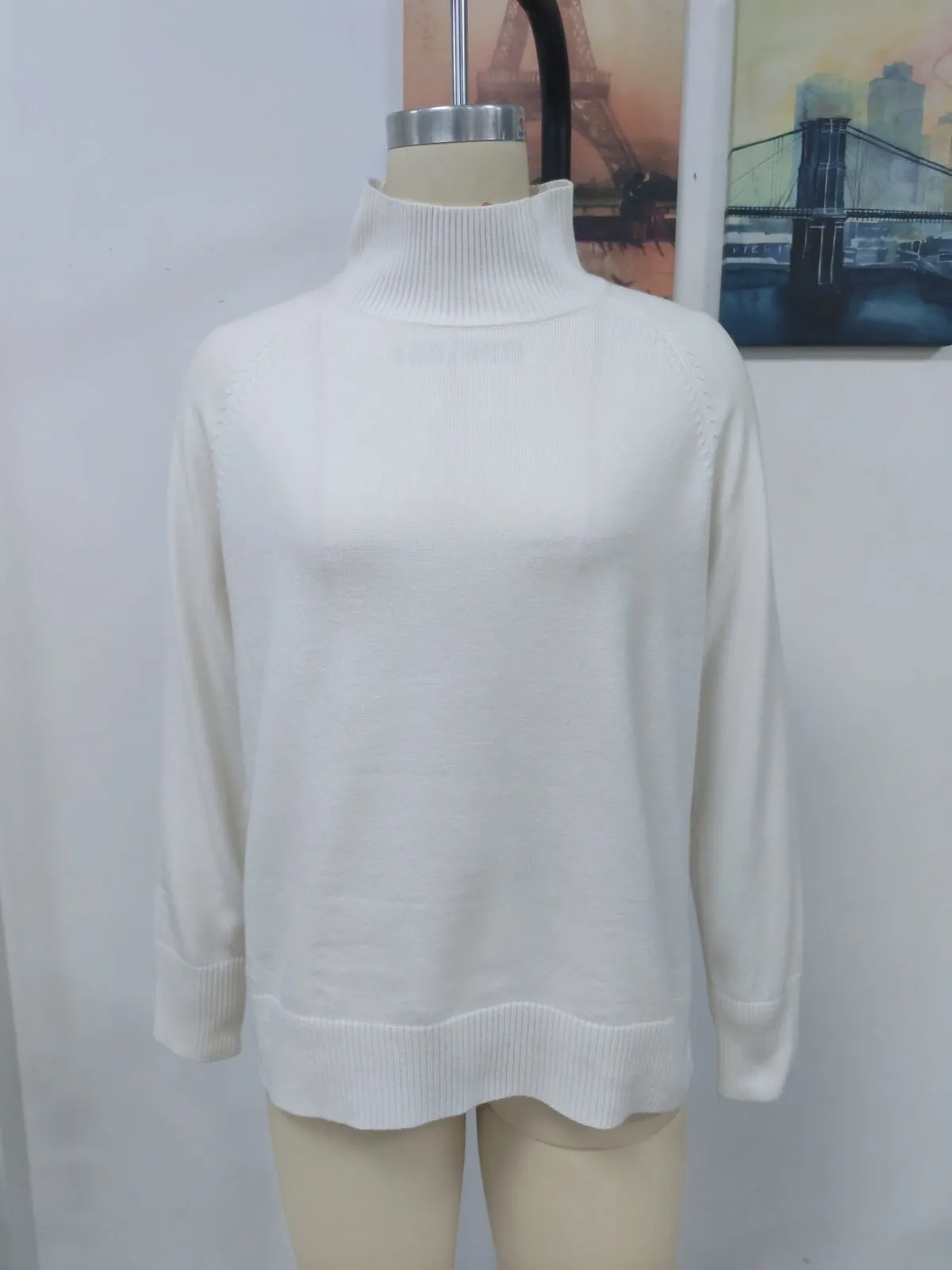 Turtleneck Long Sleeve Solid Color Sweater