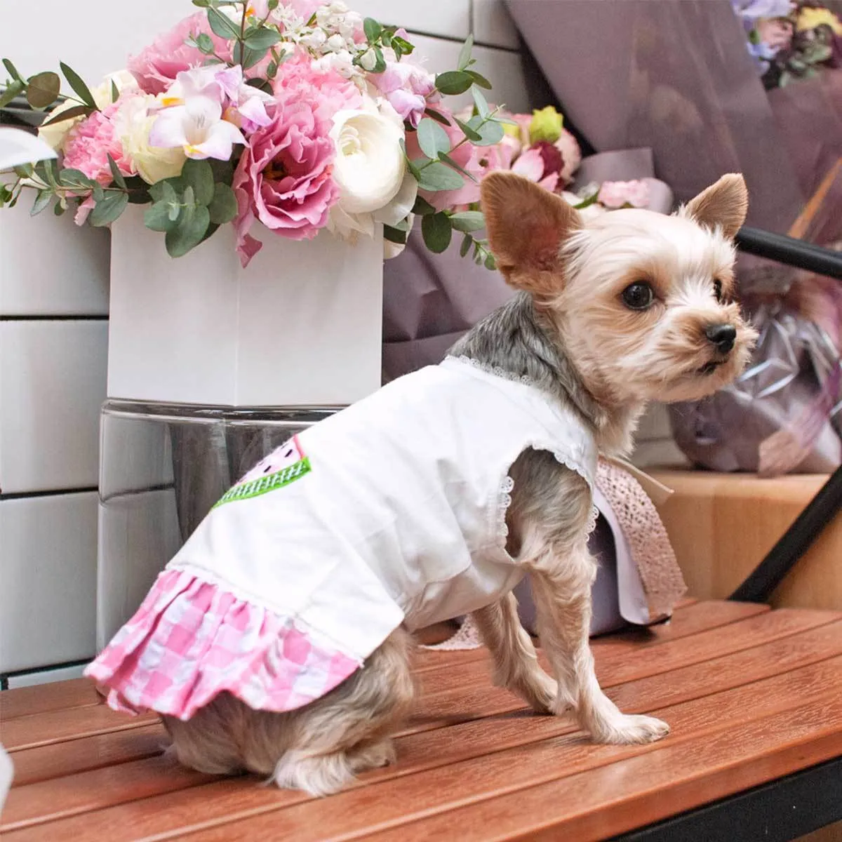 Watermelon Dog Dress