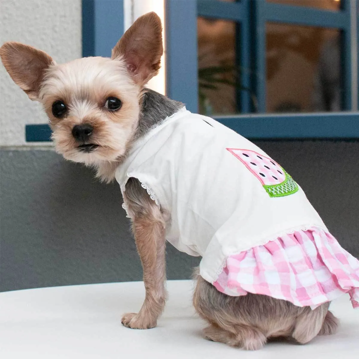 Watermelon Dog Dress